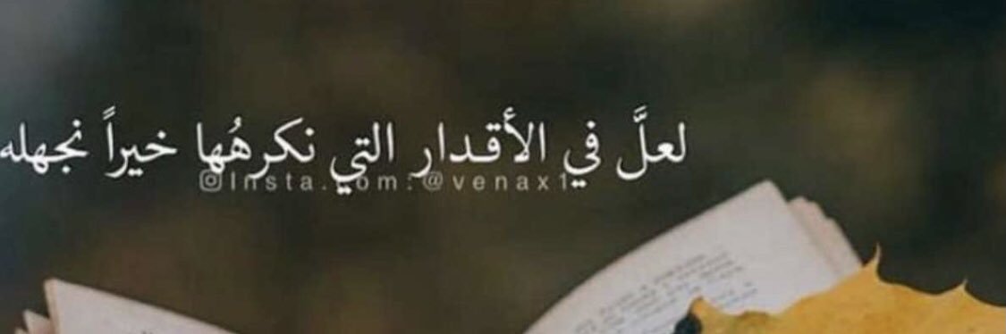hadwi1's profile banner image