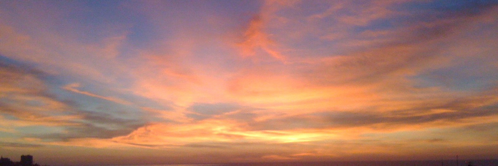 Dr. Sarah Smith banner