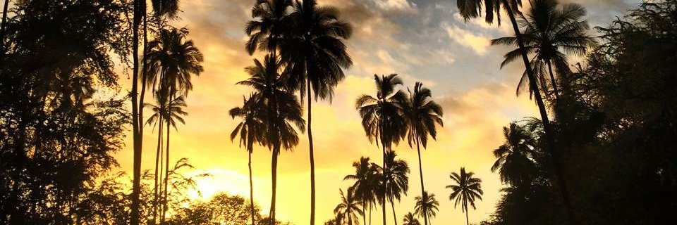 vee_ehmm's profile banner image