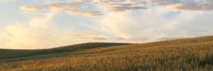 moraesjaquef's profile banner image