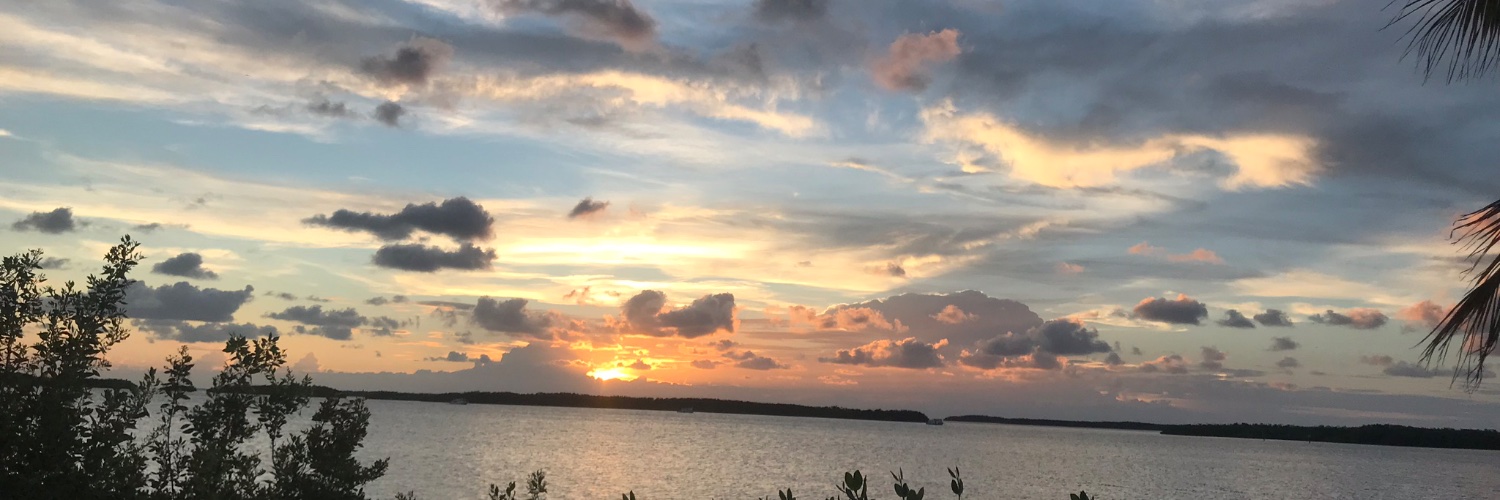 mikescottGCS's profile banner image