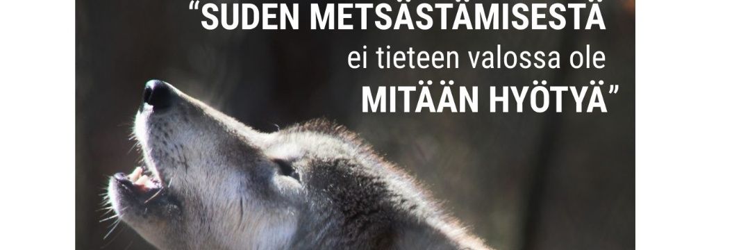Ljoutsen's profile banner image
