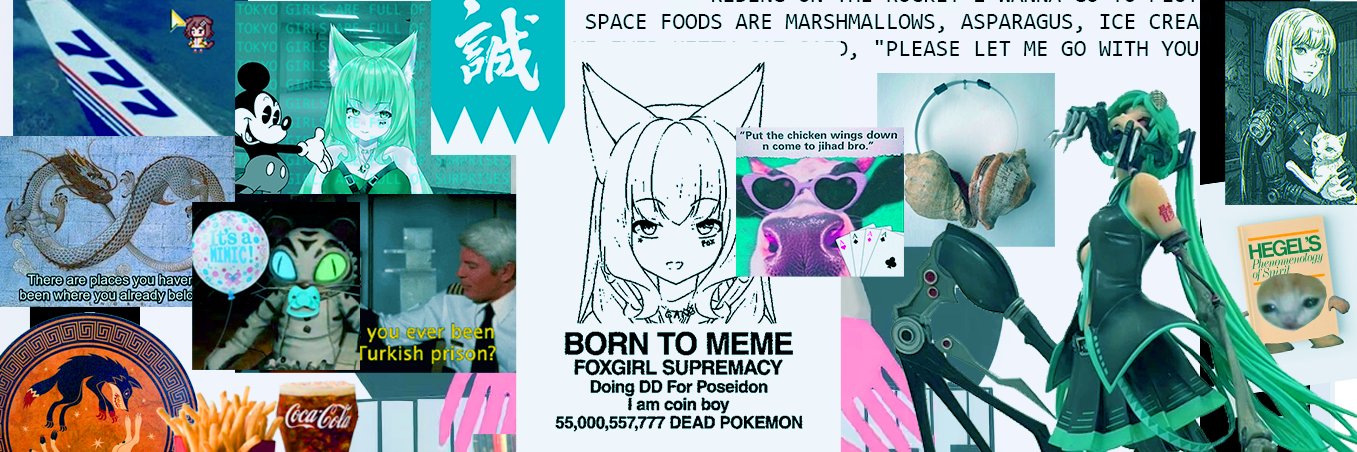 vanityFOX 🦊💫 banner