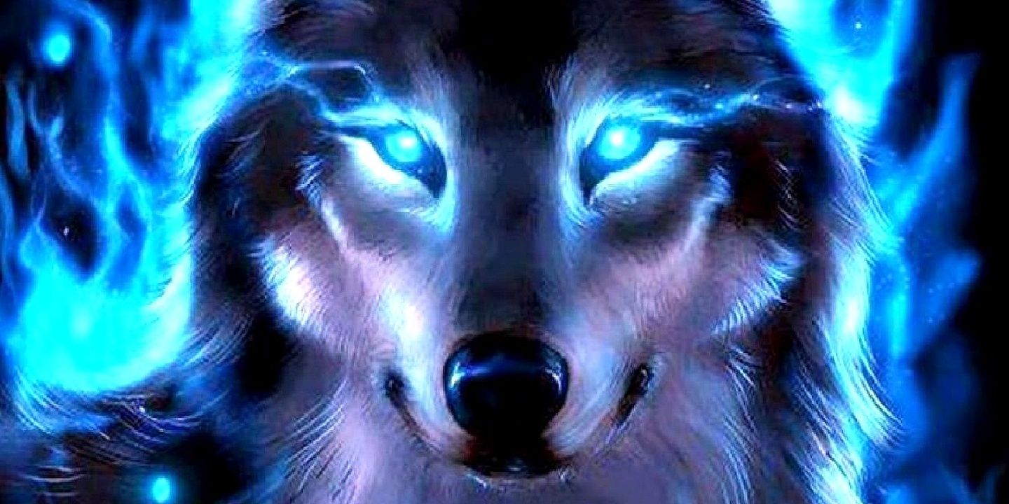 ivanvan6's profile banner image