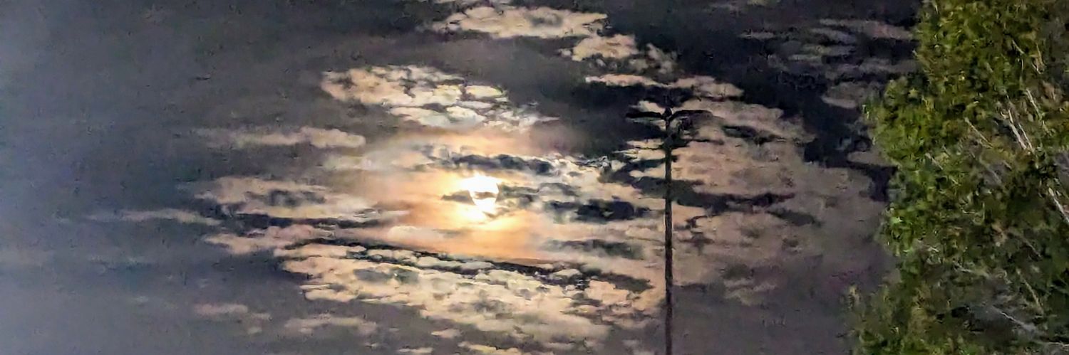 pas_bon's profile banner image