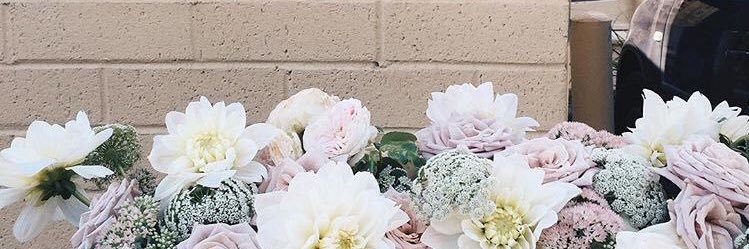 ya__rbp's profile banner image
