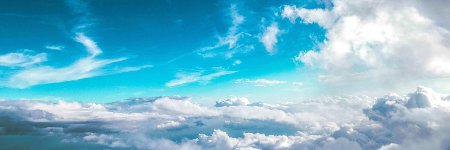 clownfishae's profile banner image