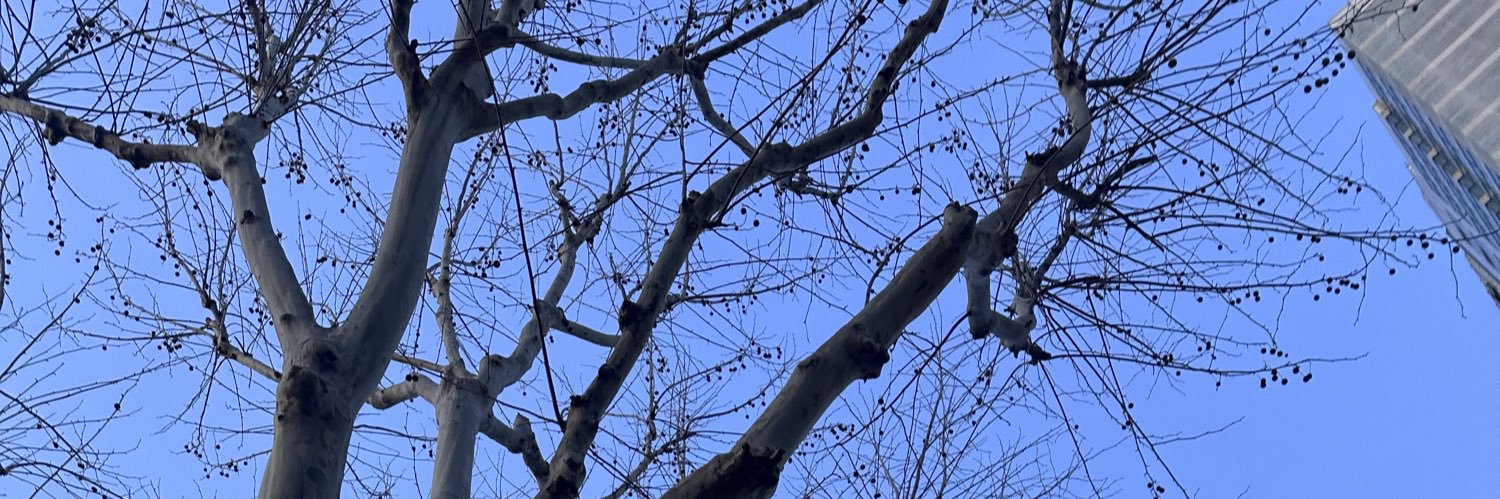 kdmynt_'s profile banner image