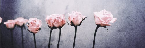 montsem13's profile banner image