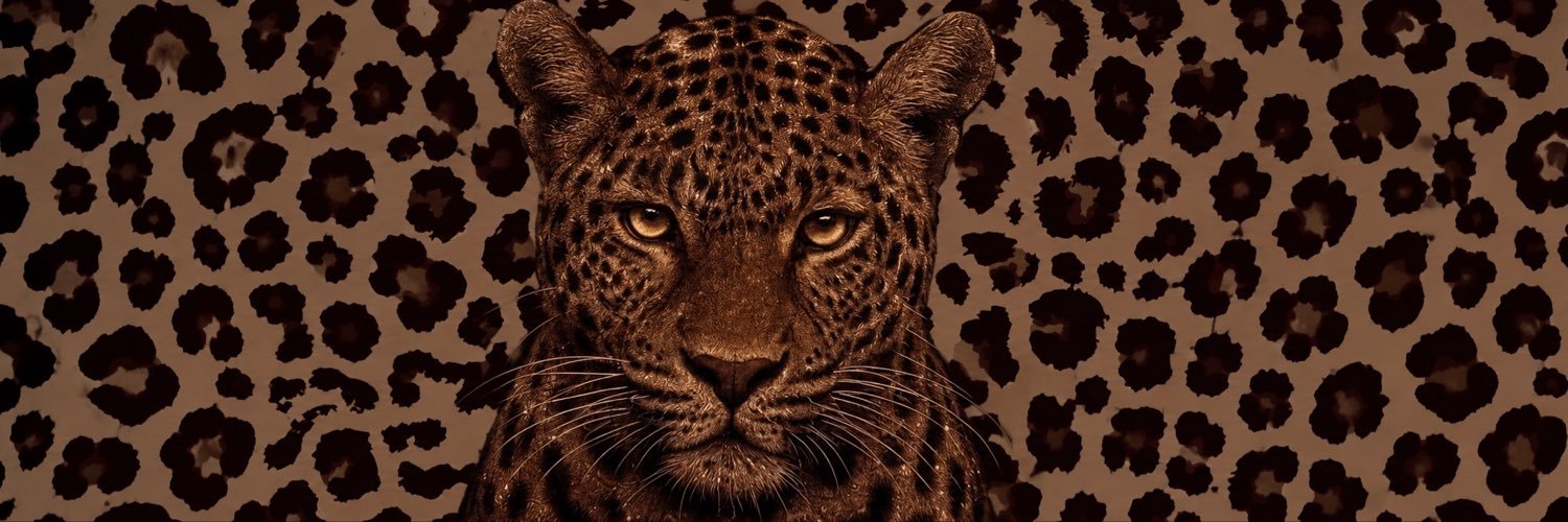 ipekk_ahsen's profile banner image