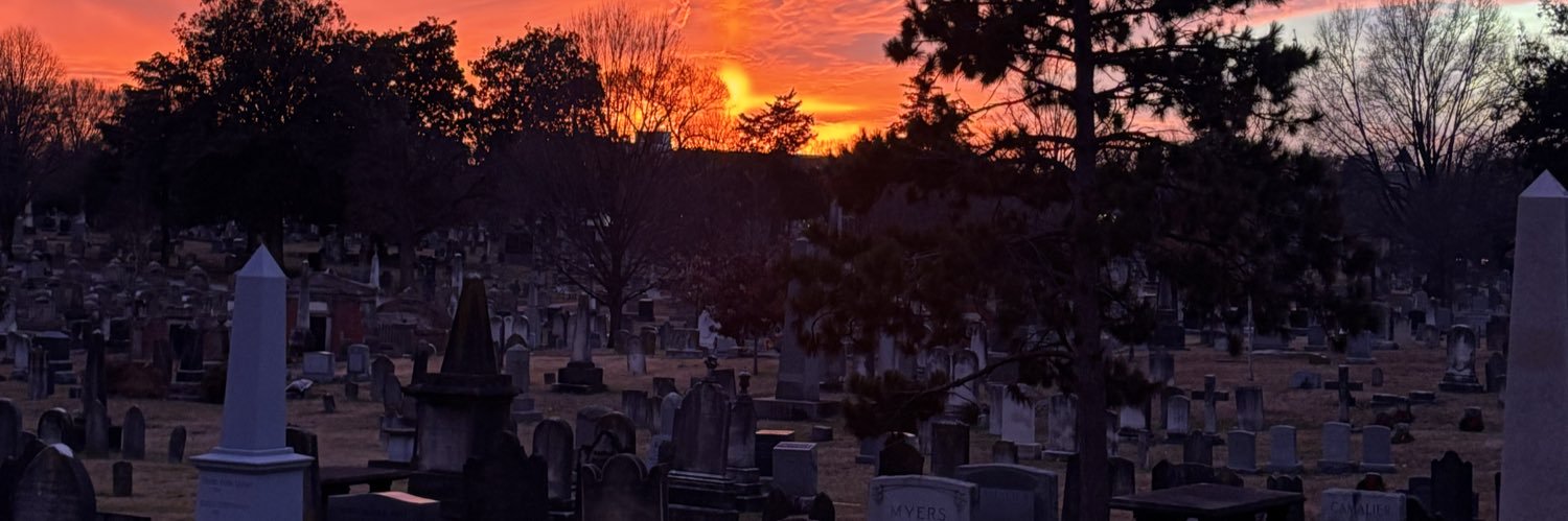 wildforcongress's profile banner image