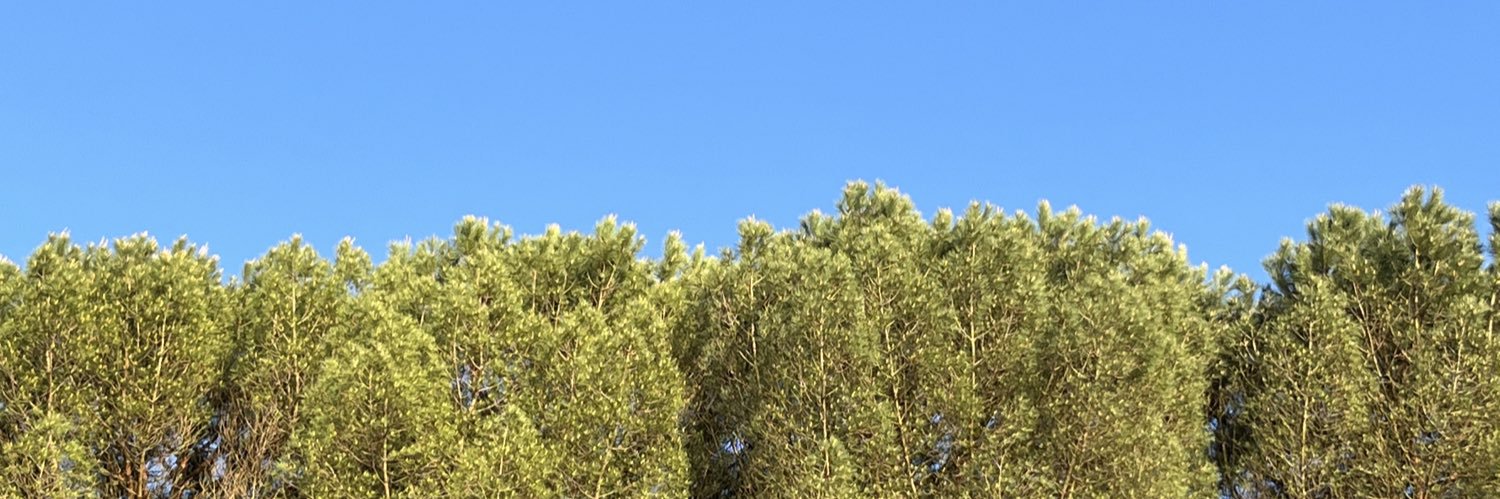 Nono_enora's profile banner image