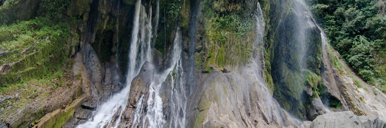 amazionada's profile banner image