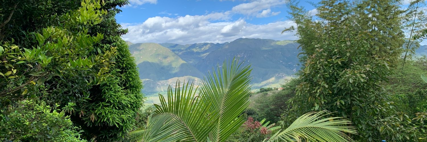 José Ochoa-Brito banner