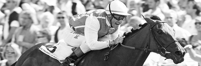 Seabird 🇨🇵 banner