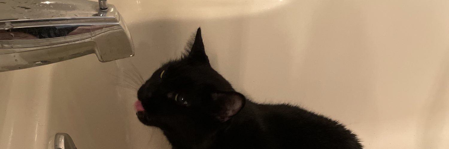 schwartzybabe's profile banner image