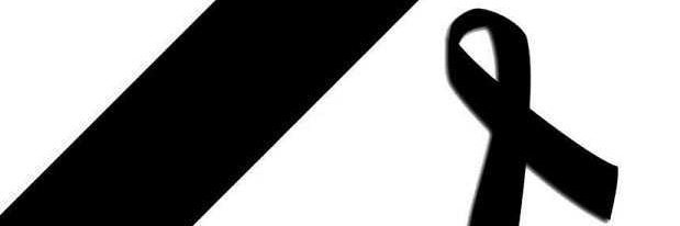 stanwarrior33's profile banner image