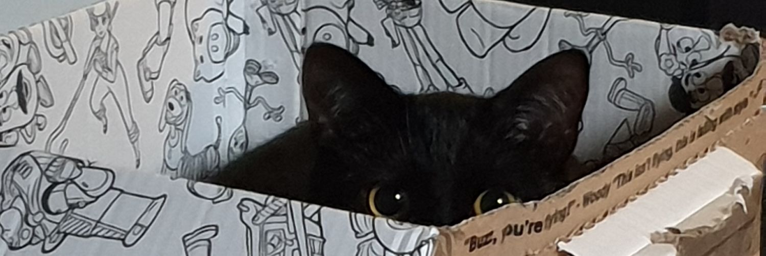 Kim_KP95's profile banner image