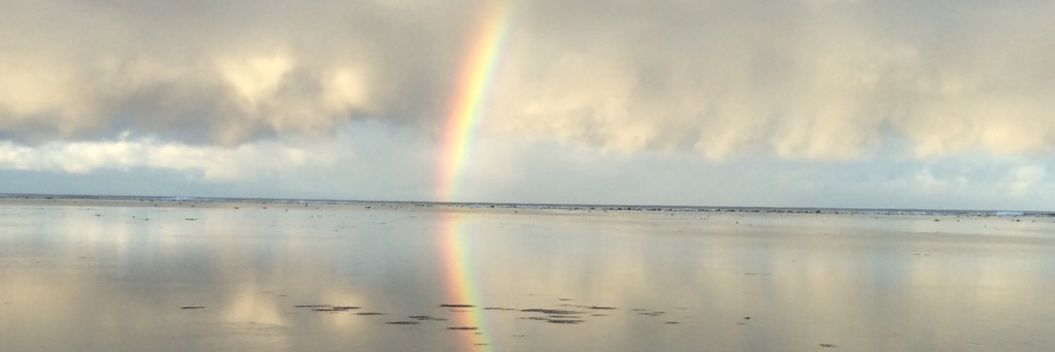 melmoran7's profile banner image