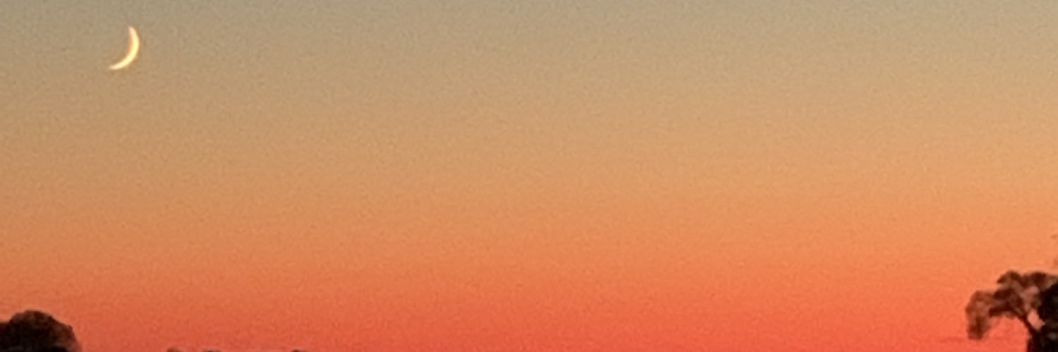 Lylyner2's profile banner image
