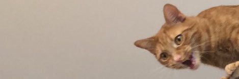 bitcholog's profile banner image