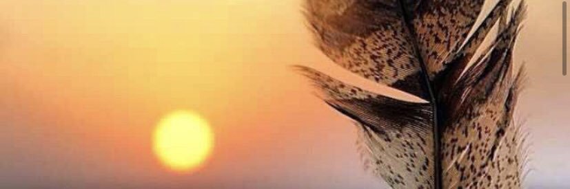 bnshawan's profile banner image