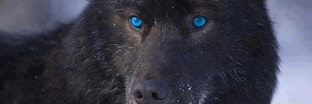 JakeKiskaone's profile banner image