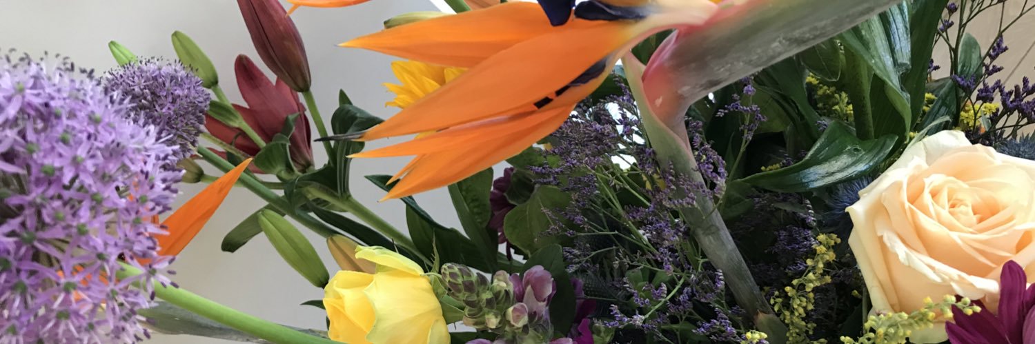 MarcelLeegte's profile banner image