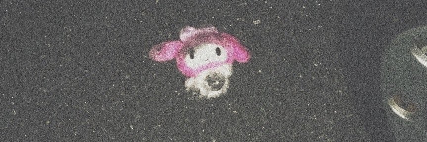 Sara™ banner