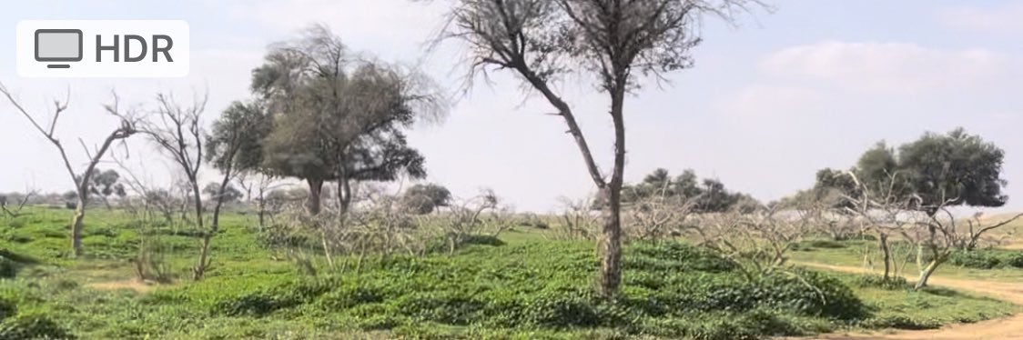 د. م. ابراهيم بن احمد الضبيب banner