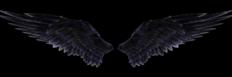 __Nadoii's profile banner image