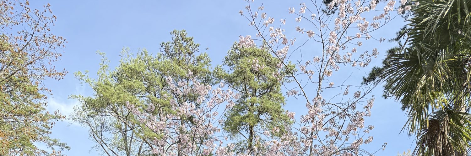 JssVal's profile banner image