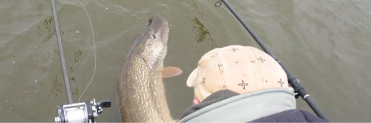 Climax4Tackle's profile banner image