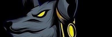 sja2565's profile banner image