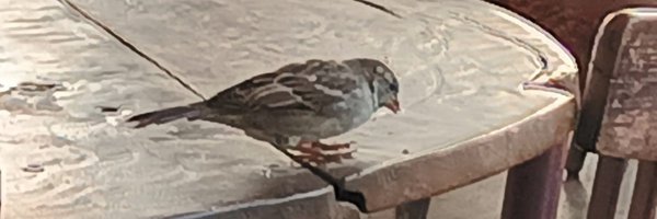 JDBezsonoff Profile Banner