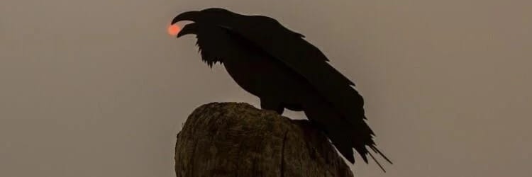 BielanusOrdynus's profile banner image