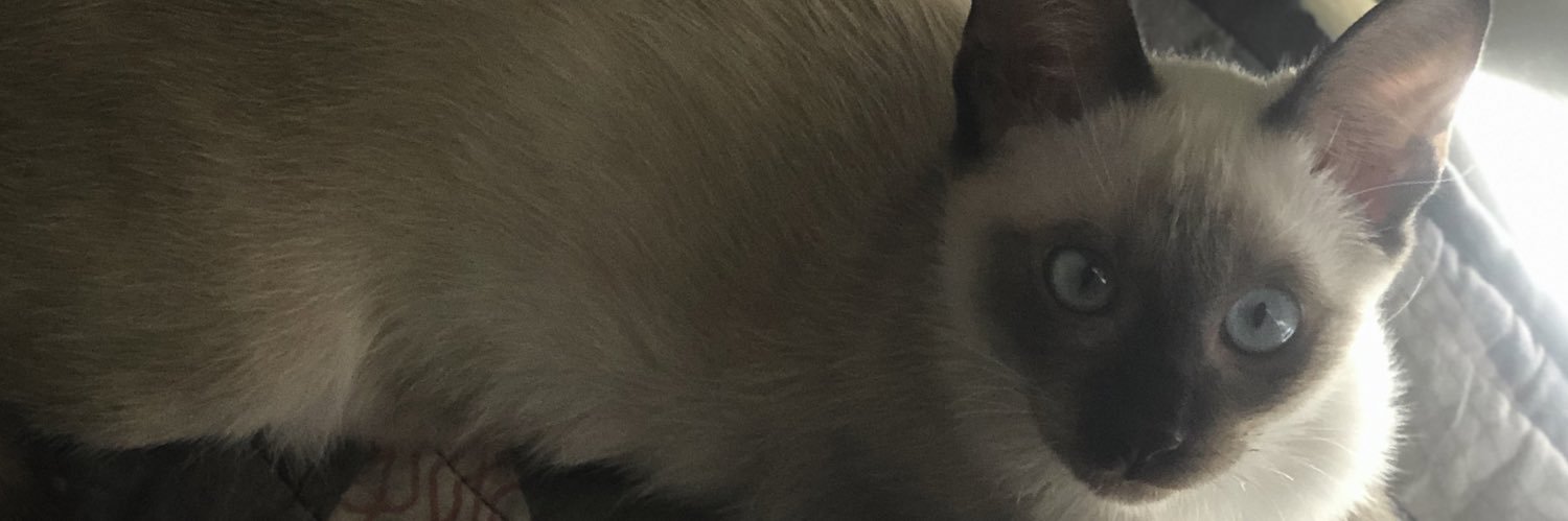PumpedUpKheens's profile banner image