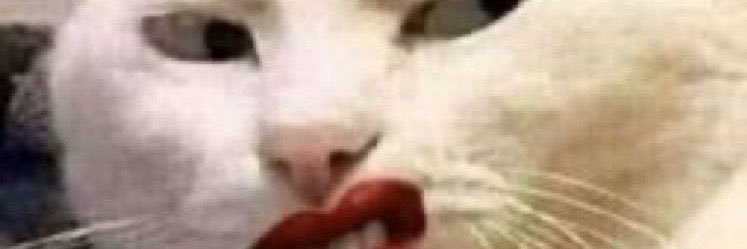 Amber 💋 banner