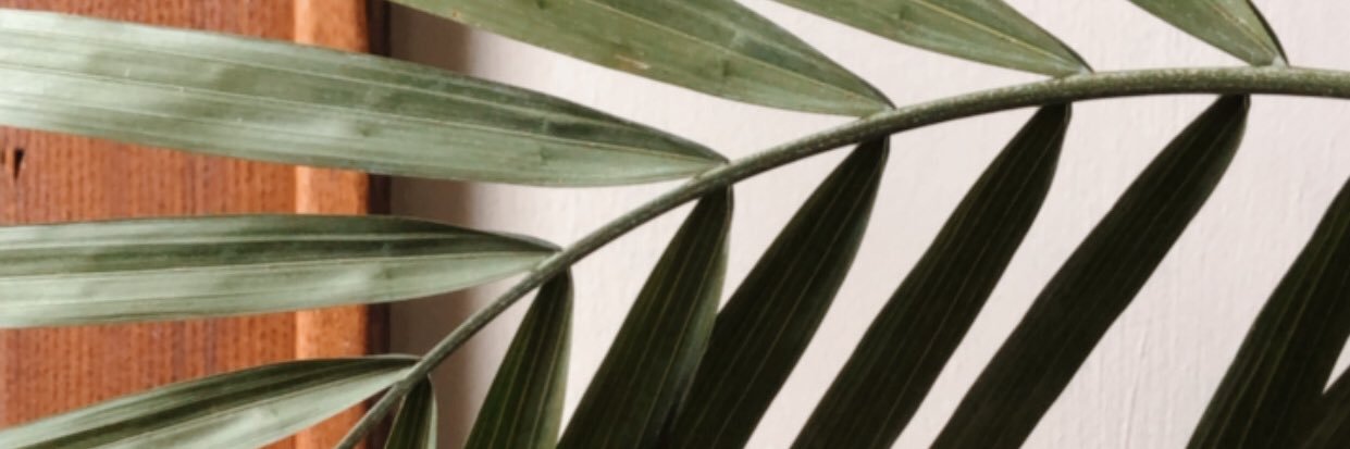 amandasanderz's profile banner image
