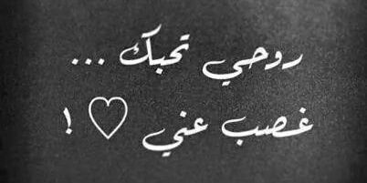 dshash905's profile banner image