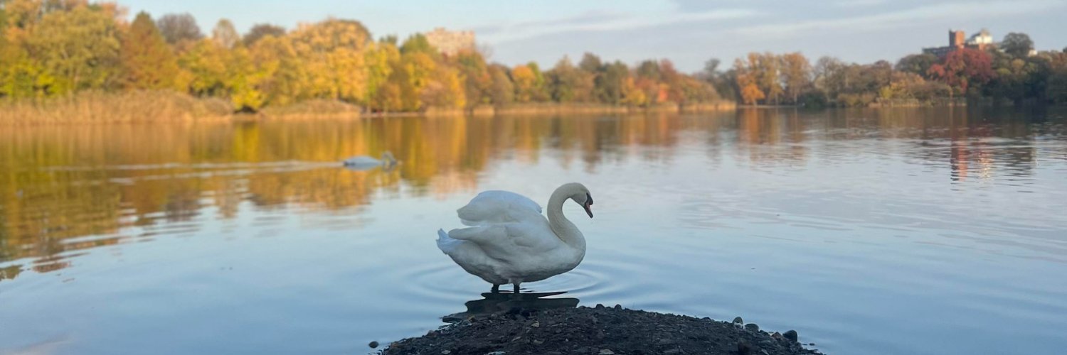 Thanos Andreou banner