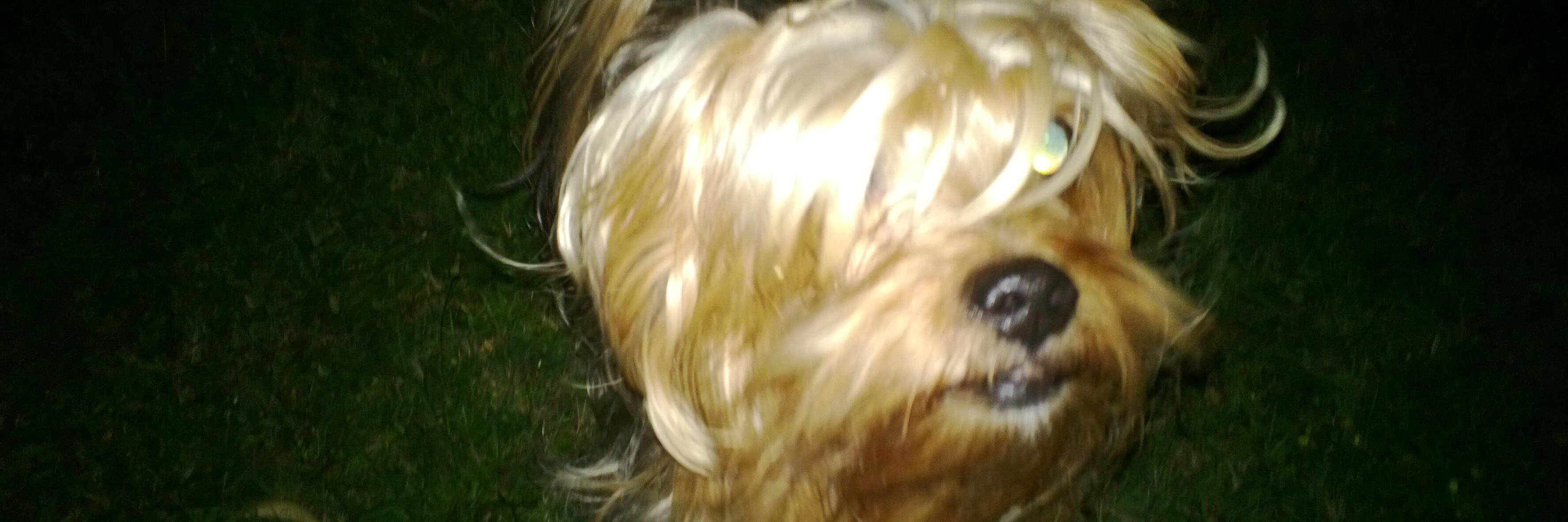 turkogluky's profile banner image