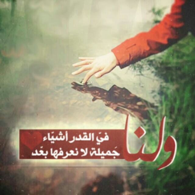 بحر الذكريات banner