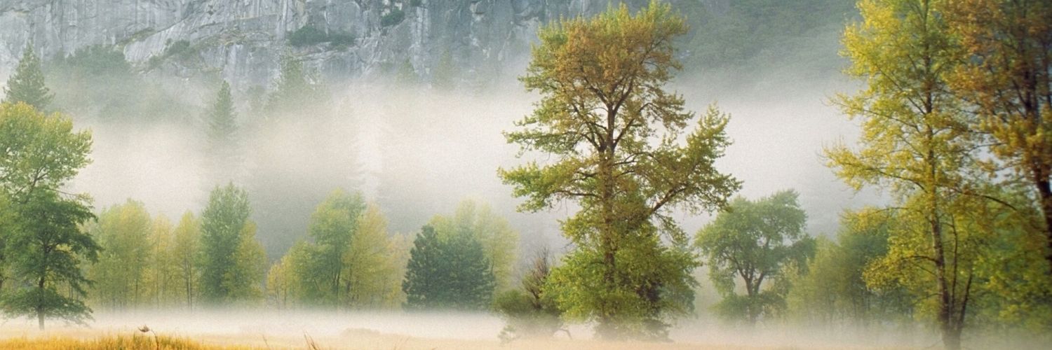 rakesh511995's profile banner image