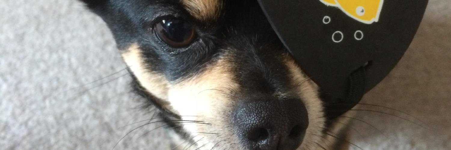 jojoba34's profile banner image