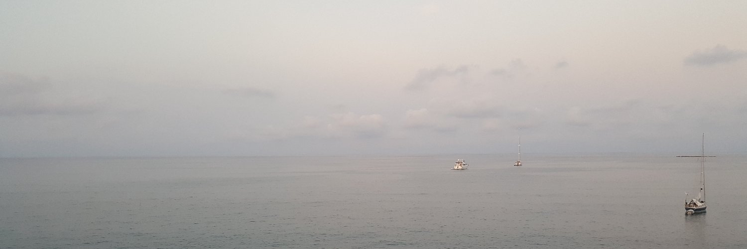 AURUM Aurum pretiosum est banner