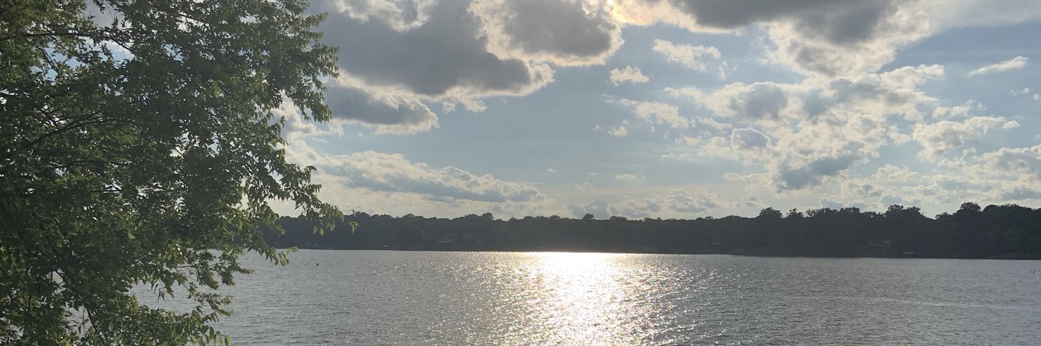 ChristyReevesLA's profile banner image