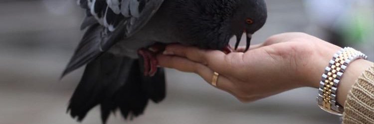AnwarF_89's profile banner image