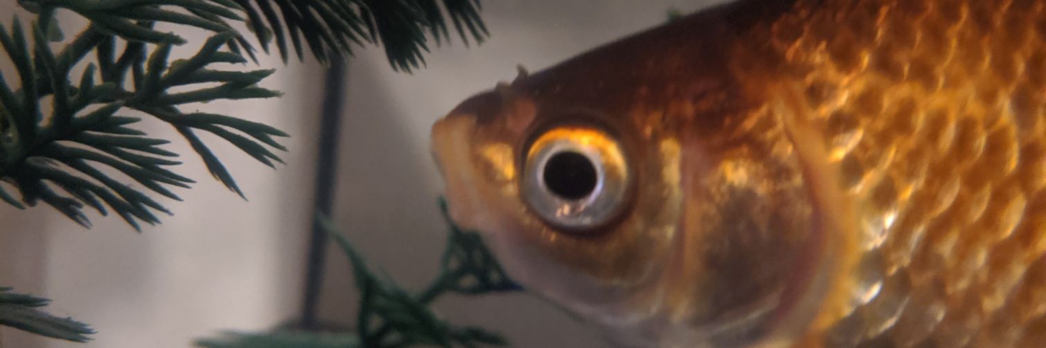 AxleStaff's profile banner image