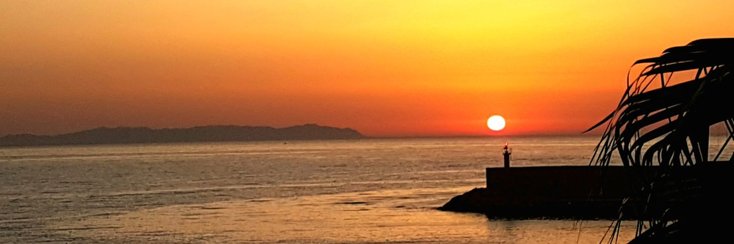 IUSAL798001's profile banner image